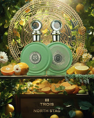 Northstag Trois III