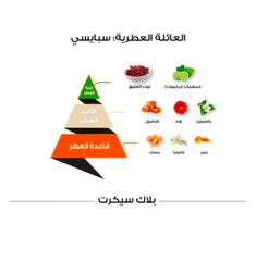 Black Secret Al Majed Oud