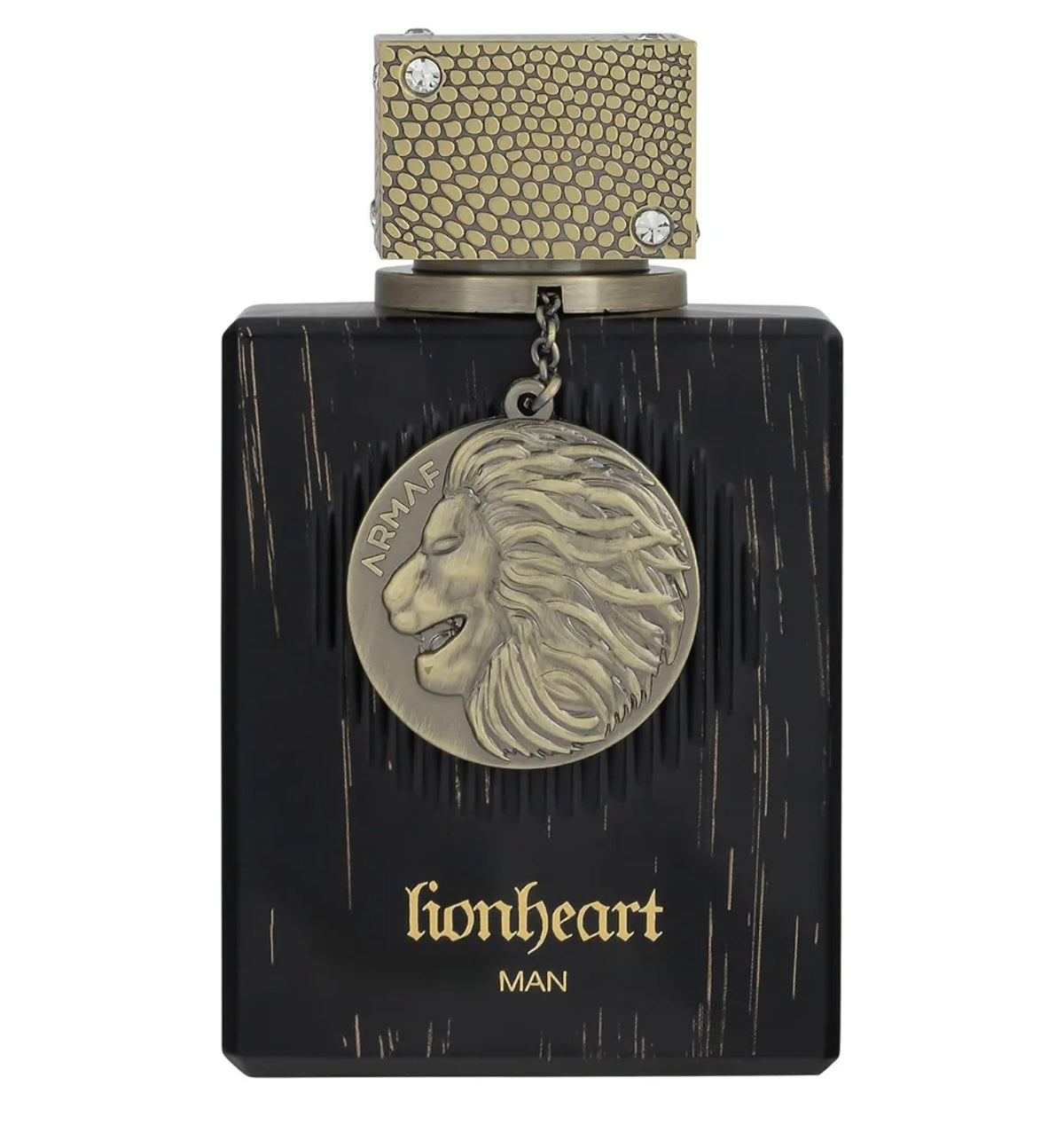 Club de nuit Lionheart Man