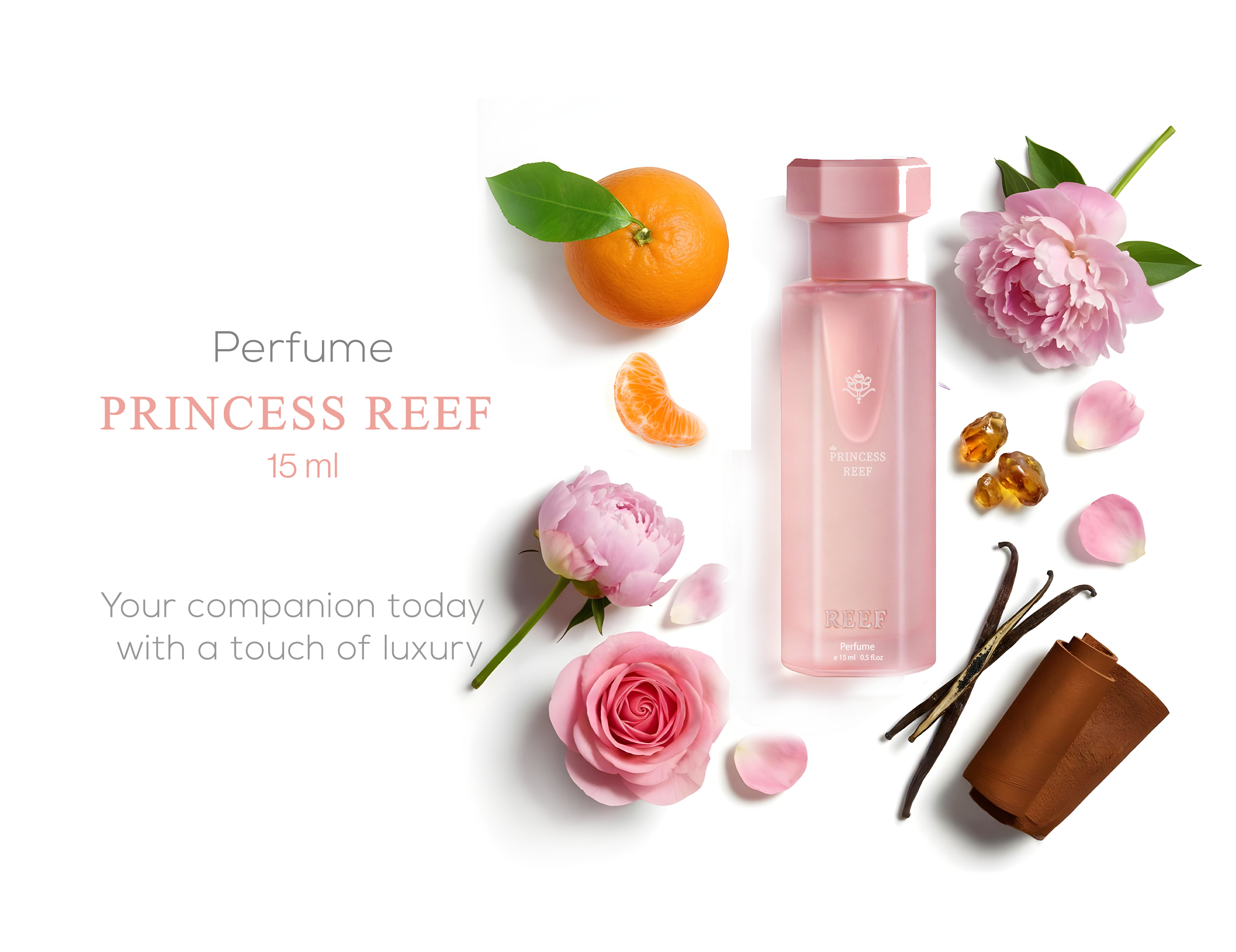 Reef Princess Box