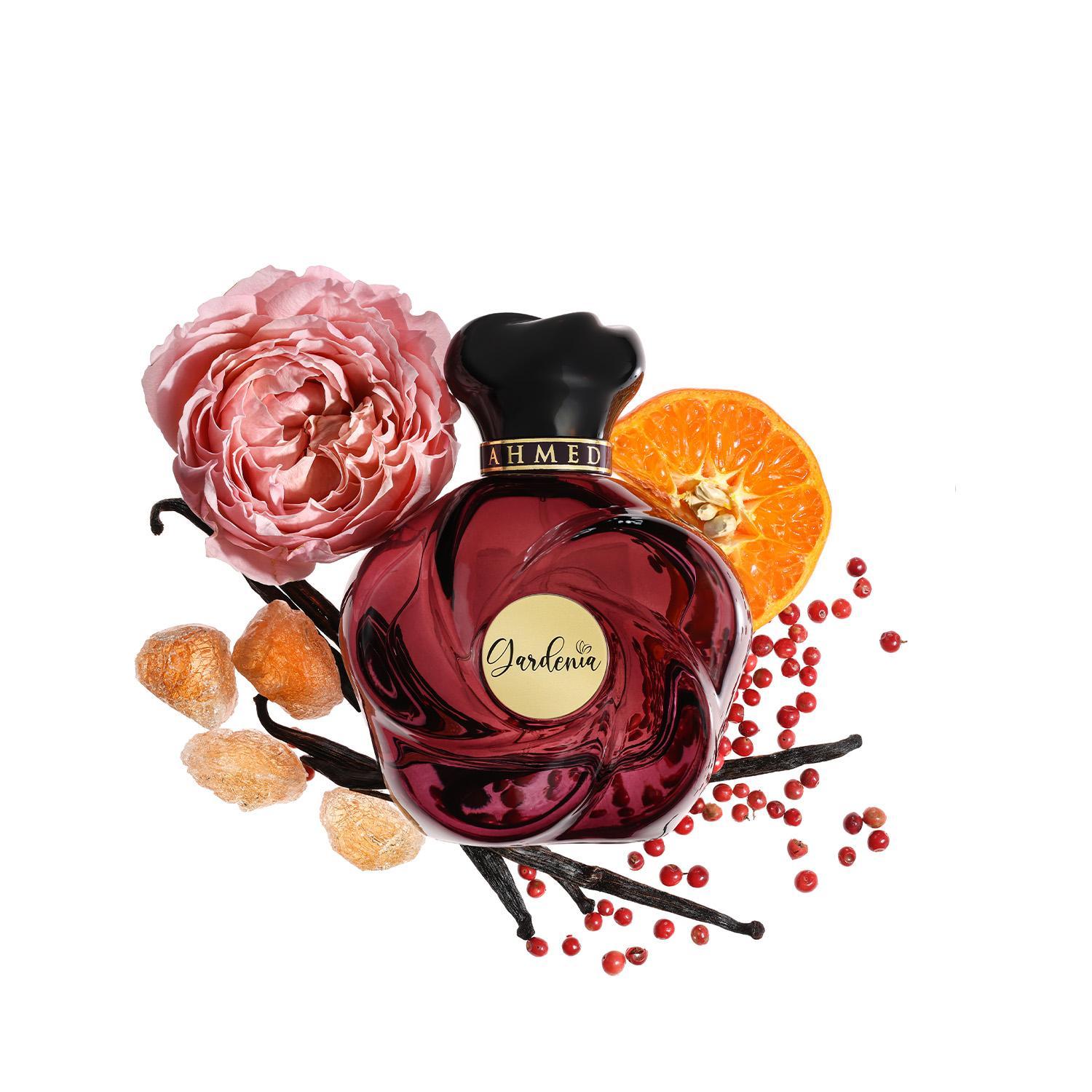 Gardenia Ahmed Al Maghribi